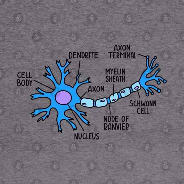 Hand Drawn Neuron Diagram by Sofia Sava